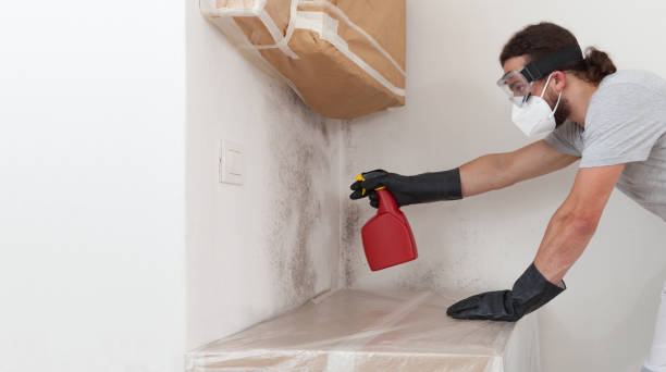 Professional Crawl Space Mold Removal technician working in Oak Ridge, NC