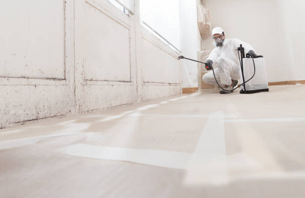 24/7 Emergency Crawl Space Mold Removal experts in Oak Ridge, NC
