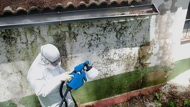 Trusted Mold Inspection service in Oak Ridge, NC - Cheap Mold Removal